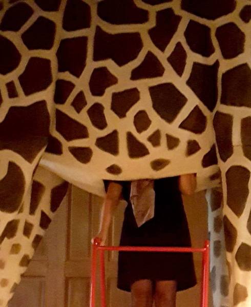 57306137_10218787123094909_3643568594266095616_o